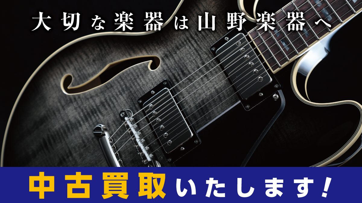 Vivie Dolphin Deverb (山野楽器 ロックイン難波限定カラー) Vivie(ビビー) DolphinDeverb展示してます！｜島村楽器 イオン